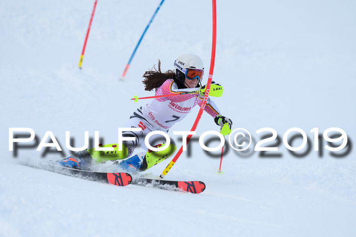FIS Slalom + NJC Damen + FIS Herren 27.01.2019