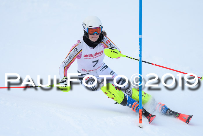 FIS Slalom + NJC Damen + FIS Herren 27.01.2019