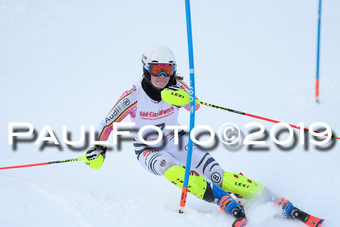 FIS Slalom + NJC Damen + FIS Herren 27.01.2019