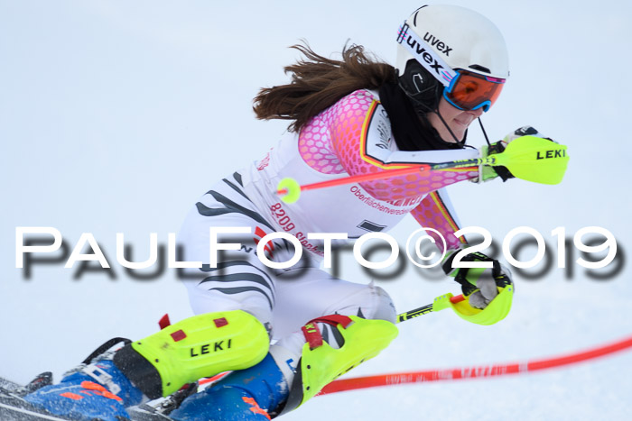 FIS Slalom + NJC Damen + FIS Herren 27.01.2019