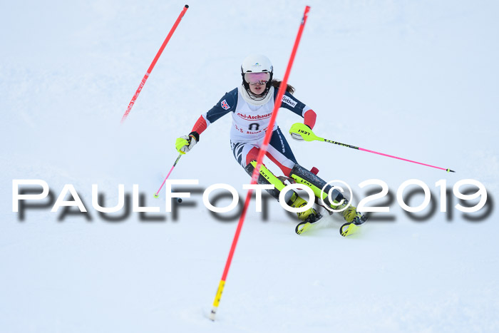 FIS Slalom + NJC Damen + FIS Herren 27.01.2019