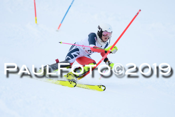 FIS Slalom + NJC Damen + FIS Herren 27.01.2019