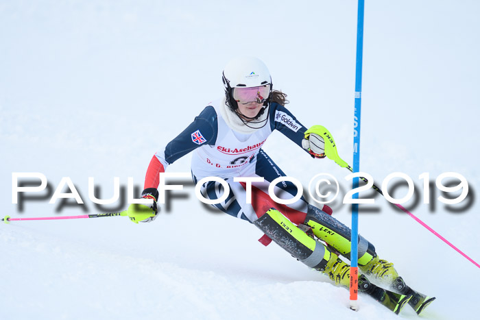 FIS Slalom + NJC Damen + FIS Herren 27.01.2019