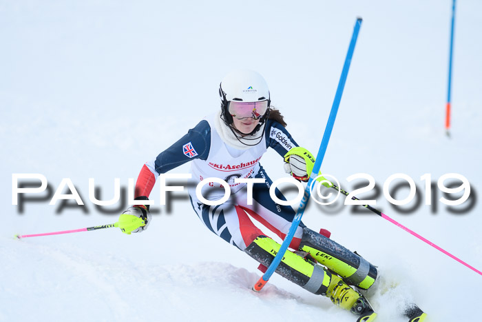 FIS Slalom + NJC Damen + FIS Herren 27.01.2019