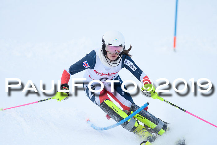 FIS Slalom + NJC Damen + FIS Herren 27.01.2019