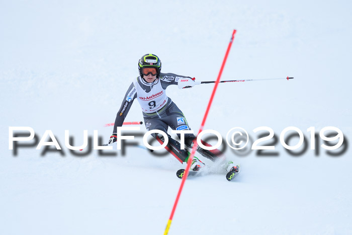 FIS Slalom + NJC Damen + FIS Herren 27.01.2019