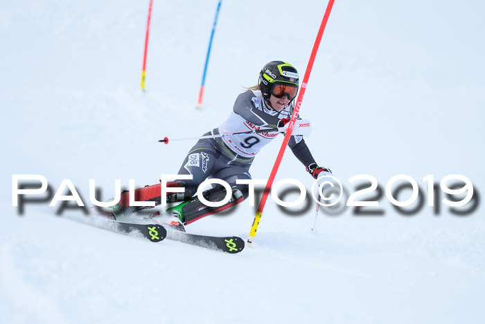 FIS Slalom + NJC Damen + FIS Herren 27.01.2019