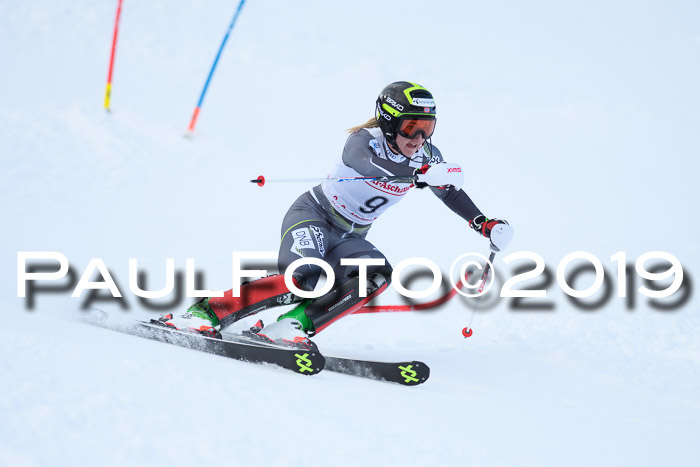 FIS Slalom + NJC Damen + FIS Herren 27.01.2019