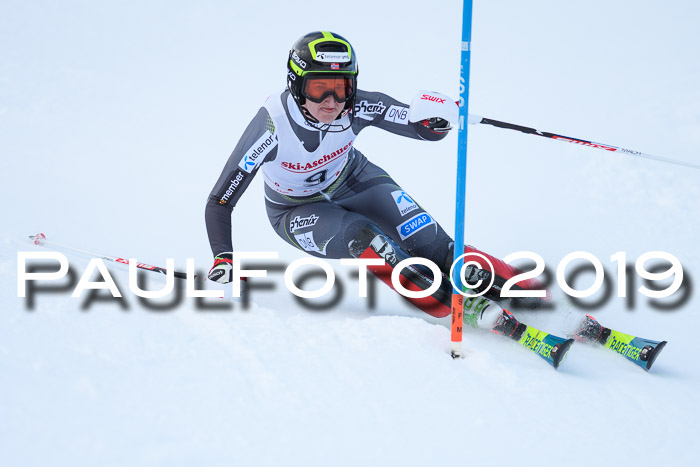FIS Slalom + NJC Damen + FIS Herren 27.01.2019