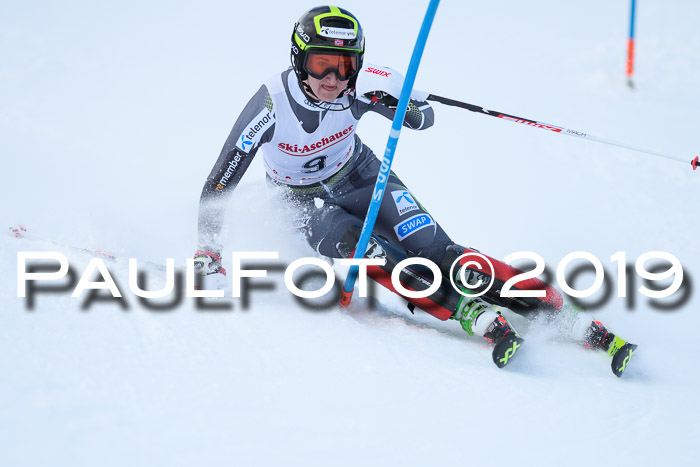 FIS Slalom + NJC Damen + FIS Herren 27.01.2019