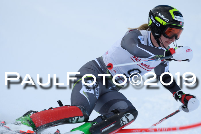 FIS Slalom + NJC Damen + FIS Herren 27.01.2019