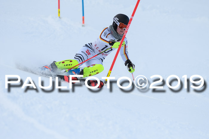 FIS Slalom + NJC Damen + FIS Herren 27.01.2019