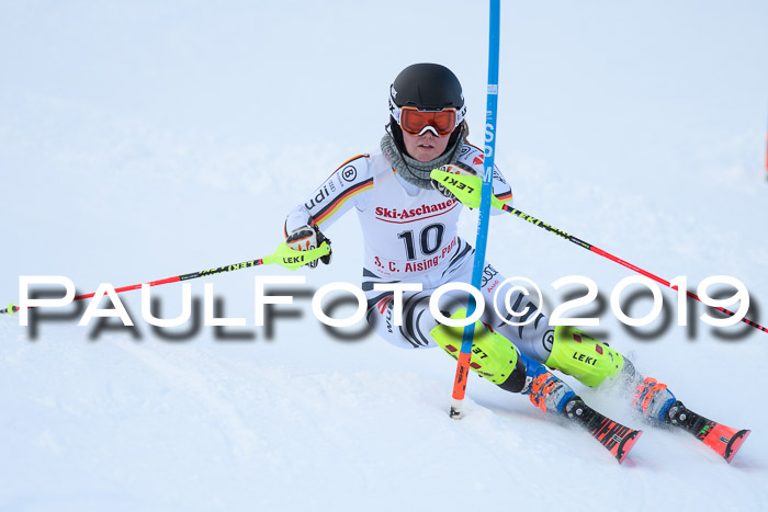 FIS Slalom + NJC Damen + FIS Herren 27.01.2019