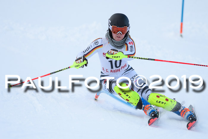 FIS Slalom + NJC Damen + FIS Herren 27.01.2019