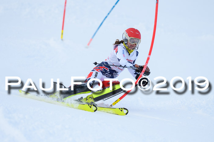 FIS Slalom + NJC Damen + FIS Herren 27.01.2019