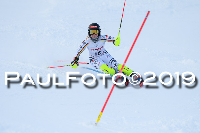 FIS Slalom + NJC Damen + FIS Herren 27.01.2019