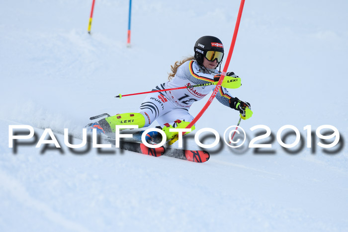 FIS Slalom + NJC Damen + FIS Herren 27.01.2019