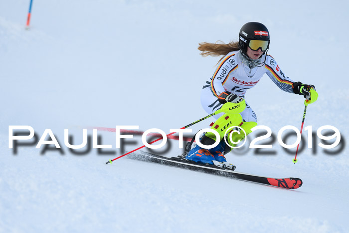 FIS Slalom + NJC Damen + FIS Herren 27.01.2019