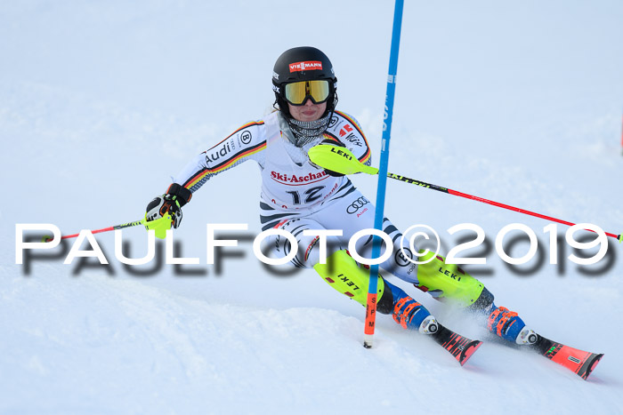 FIS Slalom + NJC Damen + FIS Herren 27.01.2019