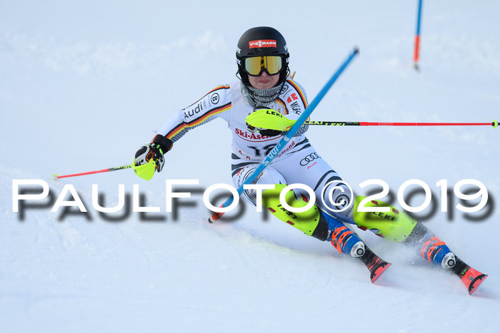 FIS Slalom + NJC Damen + FIS Herren 27.01.2019