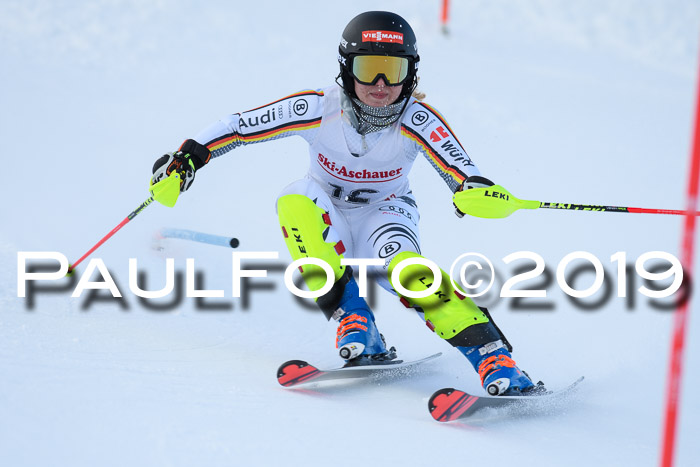 FIS Slalom + NJC Damen + FIS Herren 27.01.2019