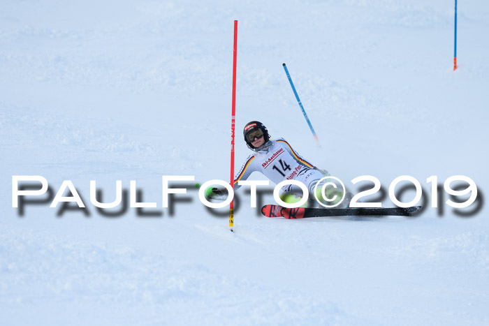 FIS Slalom + NJC Damen + FIS Herren 27.01.2019
