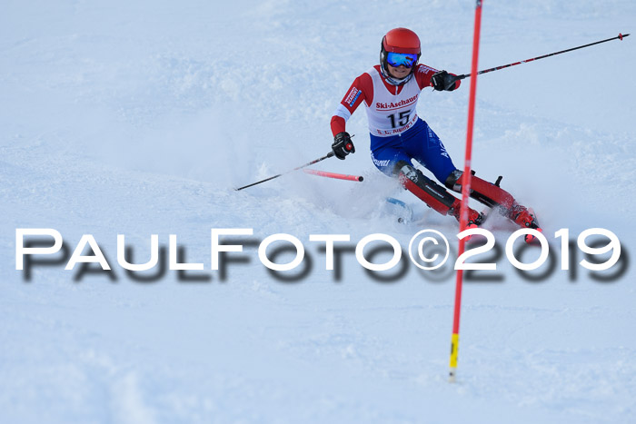 FIS Slalom + NJC Damen + FIS Herren 27.01.2019