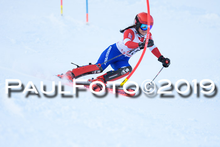 FIS Slalom + NJC Damen + FIS Herren 27.01.2019