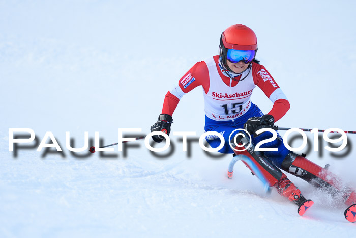 FIS Slalom + NJC Damen + FIS Herren 27.01.2019