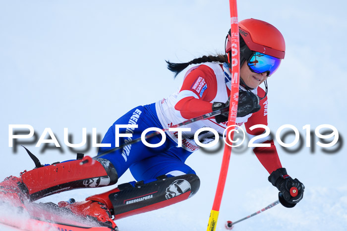 FIS Slalom + NJC Damen + FIS Herren 27.01.2019