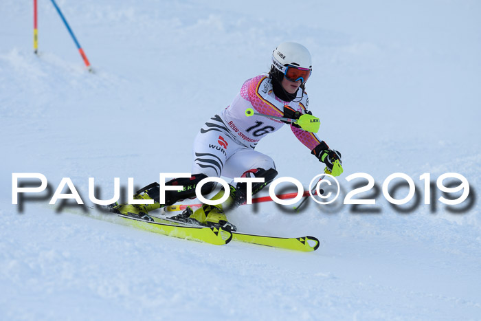 FIS Slalom + NJC Damen + FIS Herren 27.01.2019