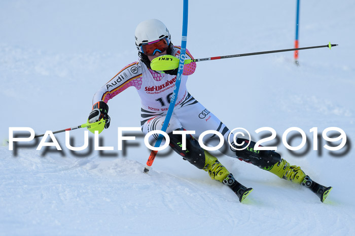 FIS Slalom + NJC Damen + FIS Herren 27.01.2019