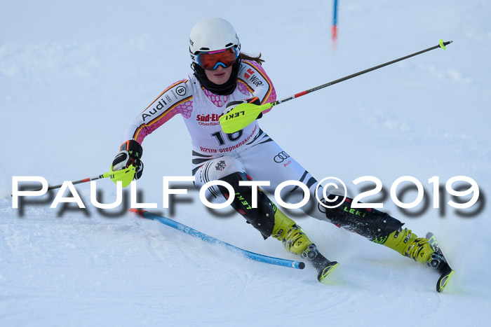 FIS Slalom + NJC Damen + FIS Herren 27.01.2019