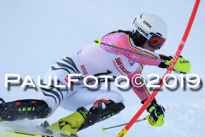 FIS Slalom + NJC Damen + FIS Herren 27.01.2019