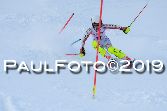 FIS Slalom + NJC Damen + FIS Herren 27.01.2019