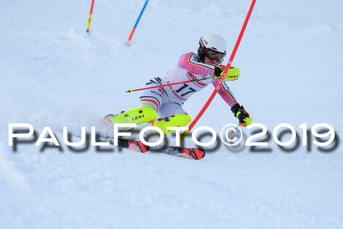 FIS Slalom + NJC Damen + FIS Herren 27.01.2019