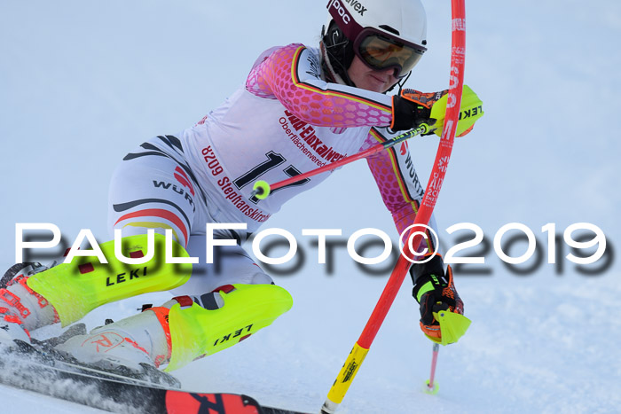 FIS Slalom + NJC Damen + FIS Herren 27.01.2019