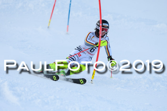 FIS Slalom + NJC Damen + FIS Herren 27.01.2019