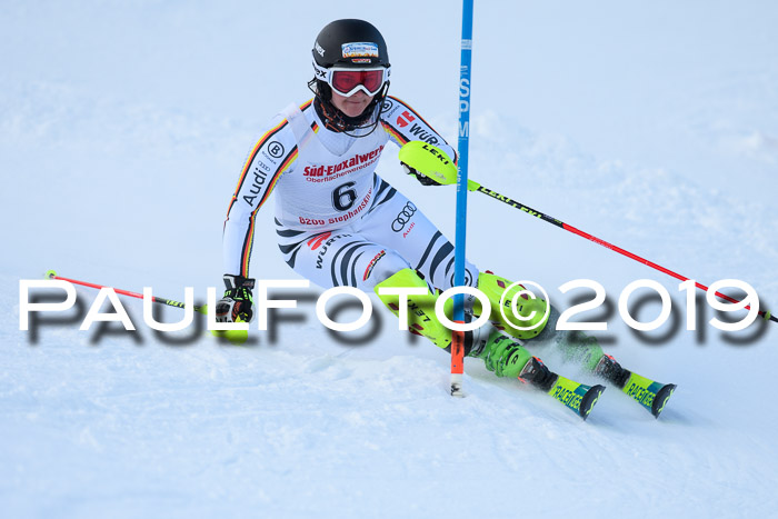 FIS Slalom + NJC Damen + FIS Herren 27.01.2019
