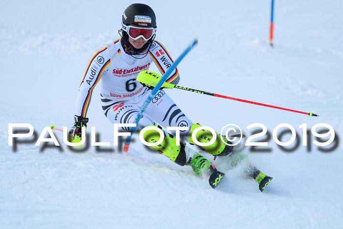 FIS Slalom + NJC Damen + FIS Herren 27.01.2019