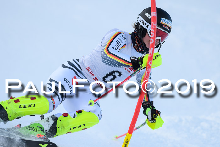 FIS Slalom + NJC Damen + FIS Herren 27.01.2019