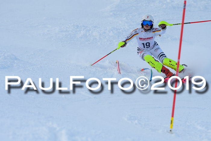FIS Slalom + NJC Damen + FIS Herren 27.01.2019
