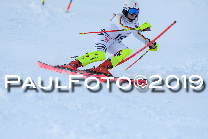 FIS Slalom + NJC Damen + FIS Herren 27.01.2019