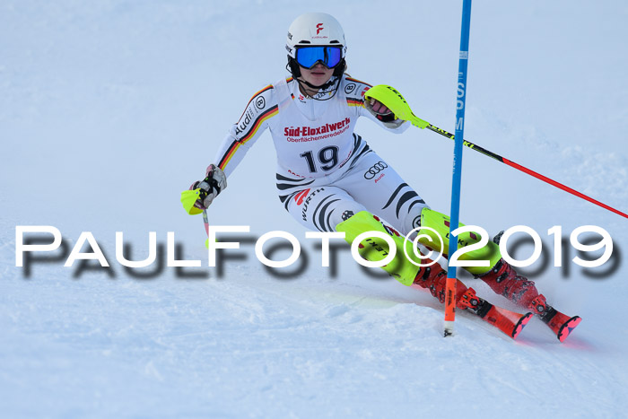 FIS Slalom + NJC Damen + FIS Herren 27.01.2019