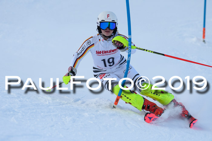 FIS Slalom + NJC Damen + FIS Herren 27.01.2019