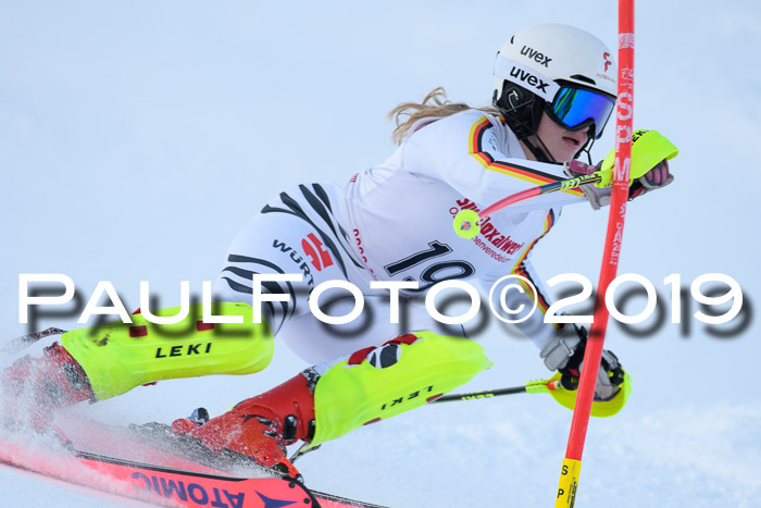 FIS Slalom + NJC Damen + FIS Herren 27.01.2019