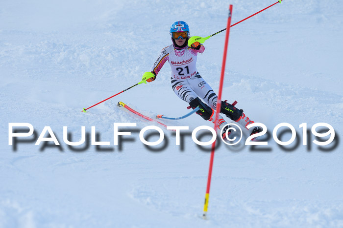 FIS Slalom + NJC Damen + FIS Herren 27.01.2019