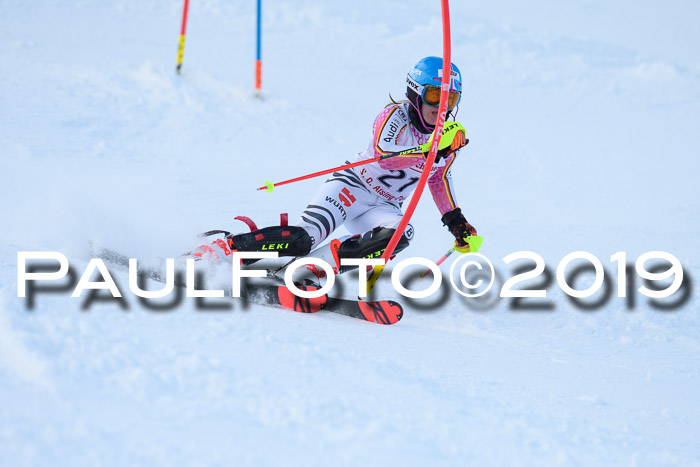 FIS Slalom + NJC Damen + FIS Herren 27.01.2019