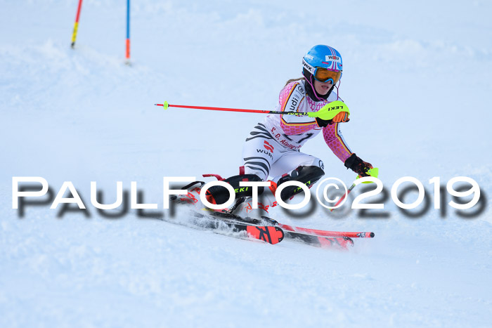 FIS Slalom + NJC Damen + FIS Herren 27.01.2019