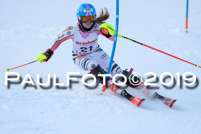 FIS Slalom + NJC Damen + FIS Herren 27.01.2019